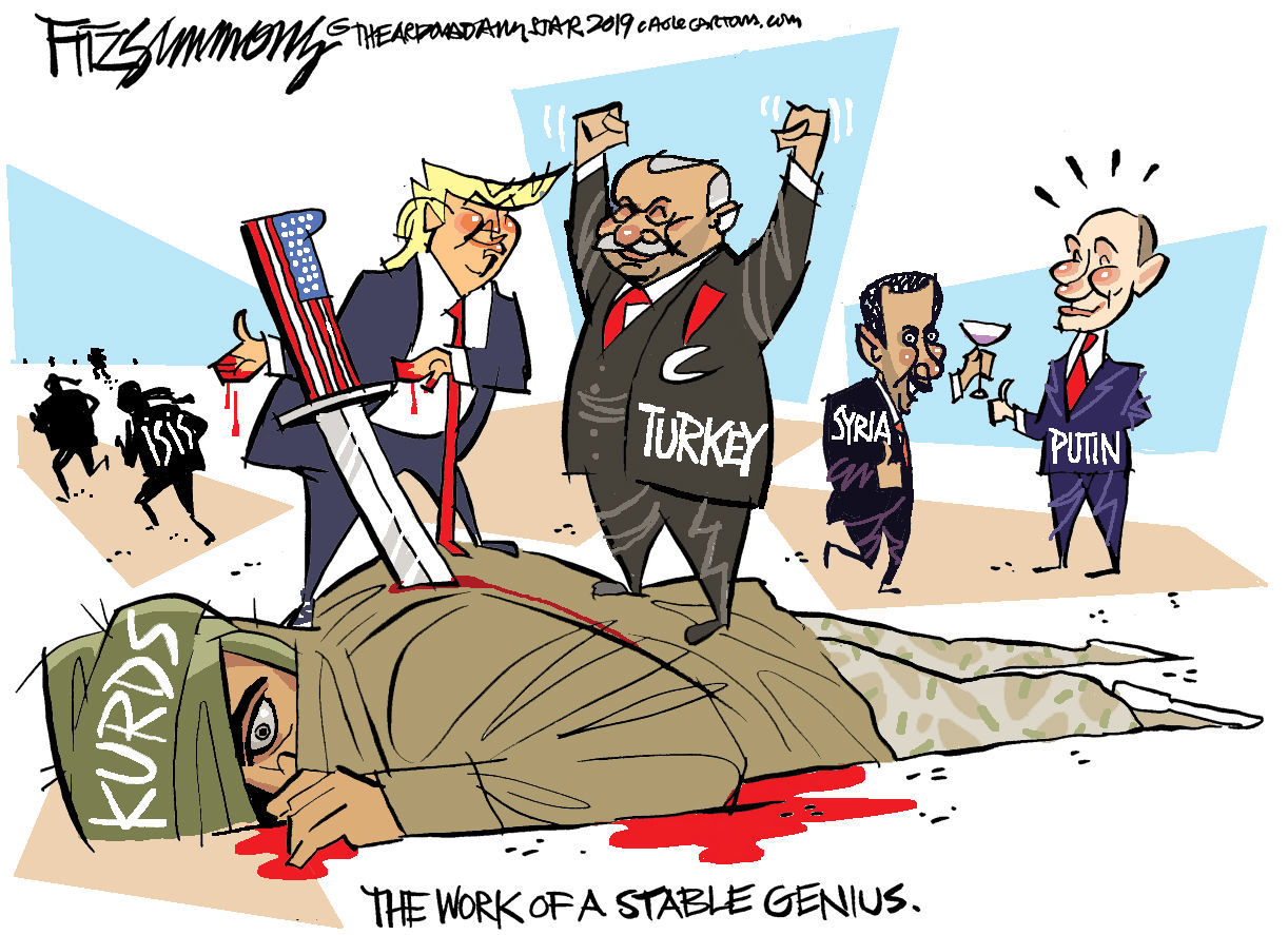 Daily Fitz Cartoon: Stable Genius